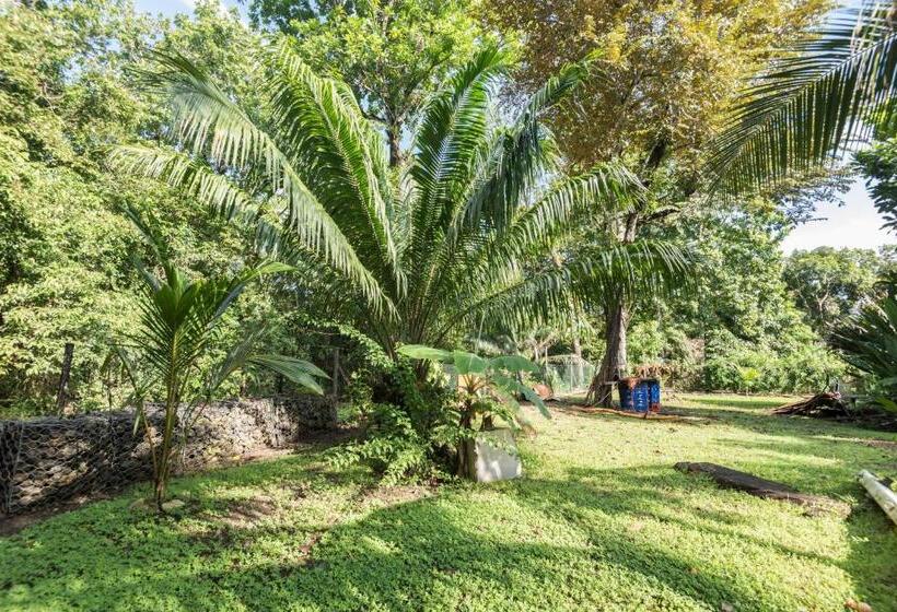 Пансион Hostel Wunderbar