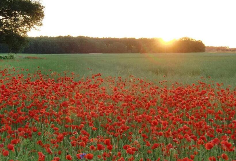 膳宿费 Kavaliershaus Krumke Gästehaus Im Schlosspark Schlüsselbox Kein Tv