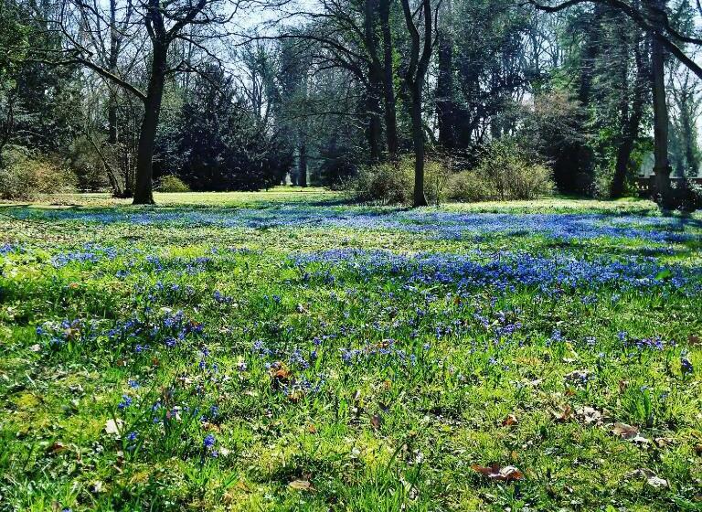 膳宿费 Kavaliershaus Krumke Gästehaus Im Schlosspark Schlüsselbox Kein Tv