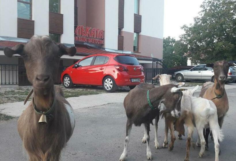 ペンション Lakata Guest House