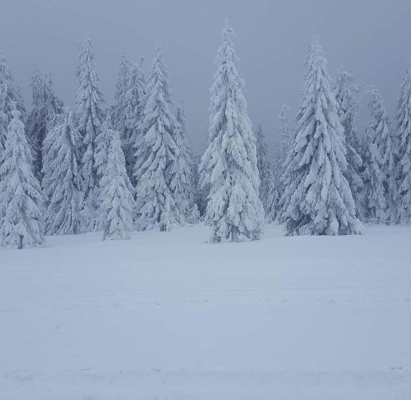 بنسيون Lörincz Vendégház