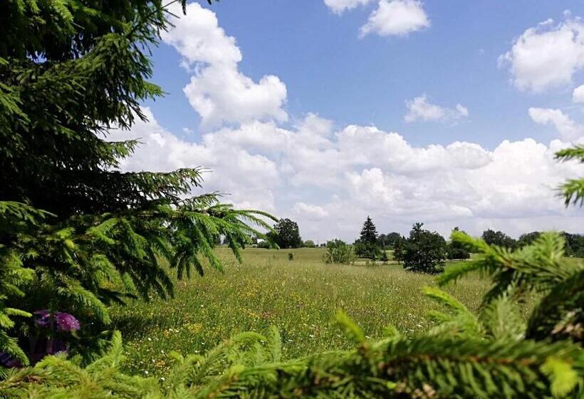 بنسيون Lörincz Vendégház