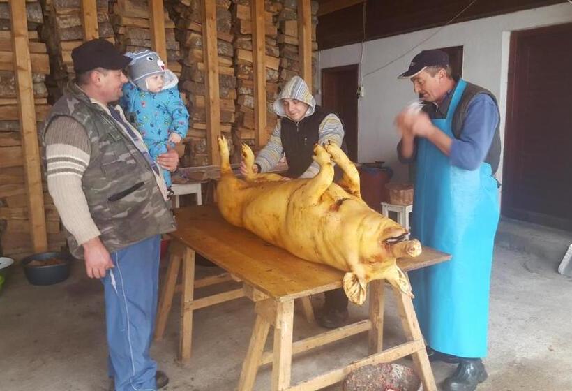 بنسيون Lörincz Vendégház