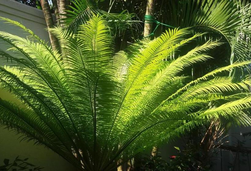 膳宿费 Majestic Apartments