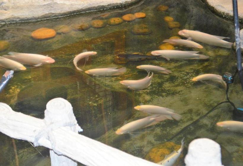 ペンション Mangala Lodge