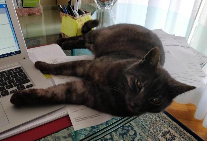 펜션 Marinella Guest House