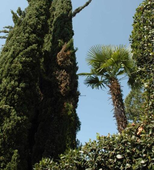 پانسیون Osteria Locanda Brack