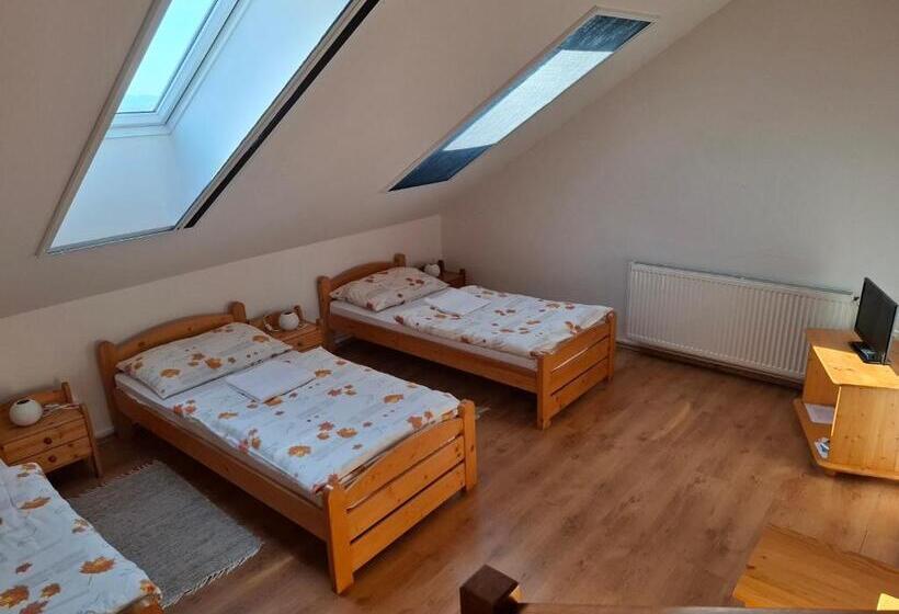 Пансион Penzión Vínny Dom