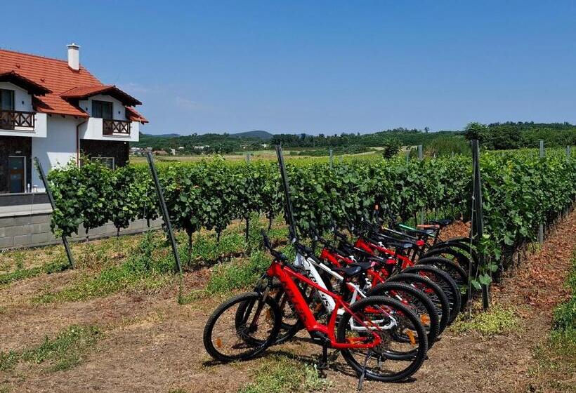 Пансион Penzión Vínny Dom