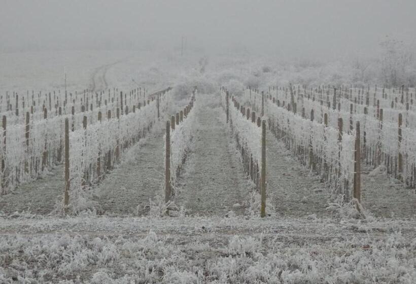 Пансион Penzión Vínny Dom