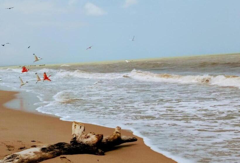 Пансион Playa Kai Glamping