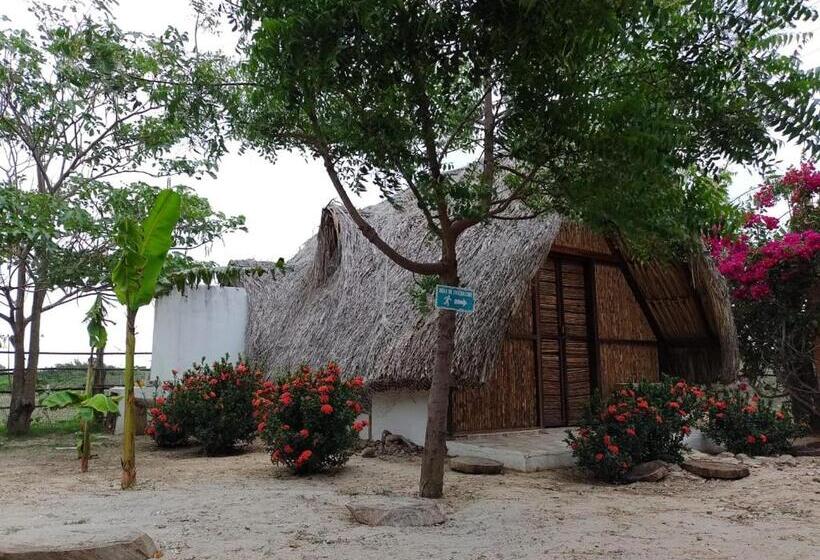 پانسیون Playa Kai Glamping