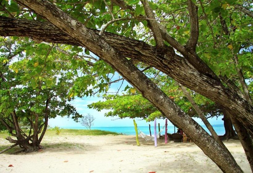 膳宿费 Pousada Borapira