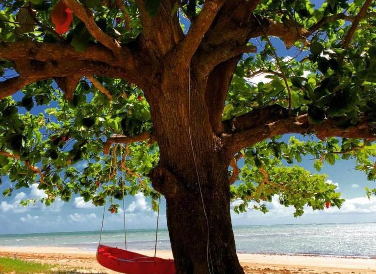 膳宿费 Pousada Borapira