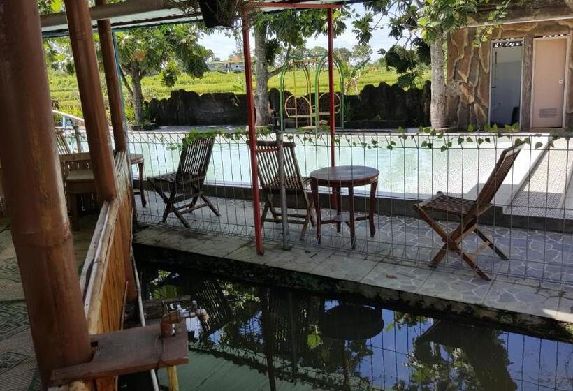 פנסיון Putri Duyung Guest House