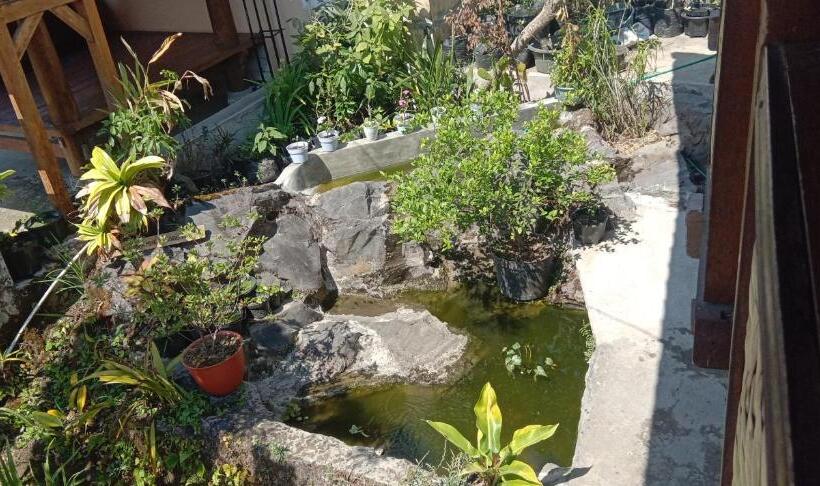 פנסיון Radiya Guesthouse