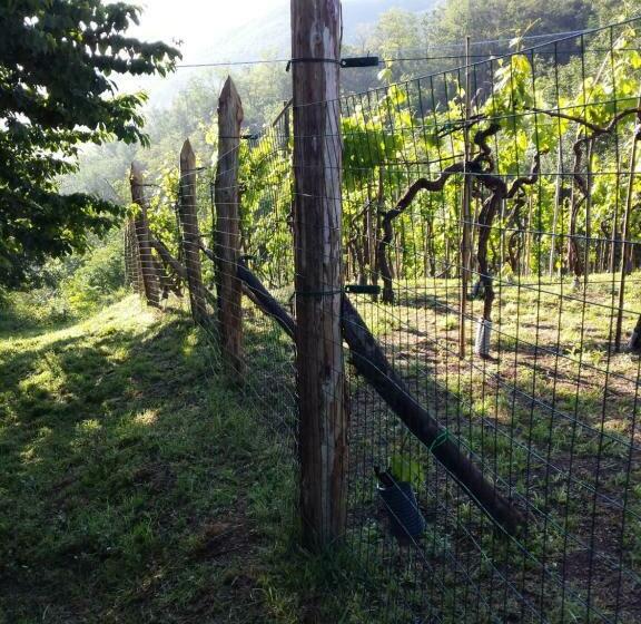Пансион Tuscan Hilltop