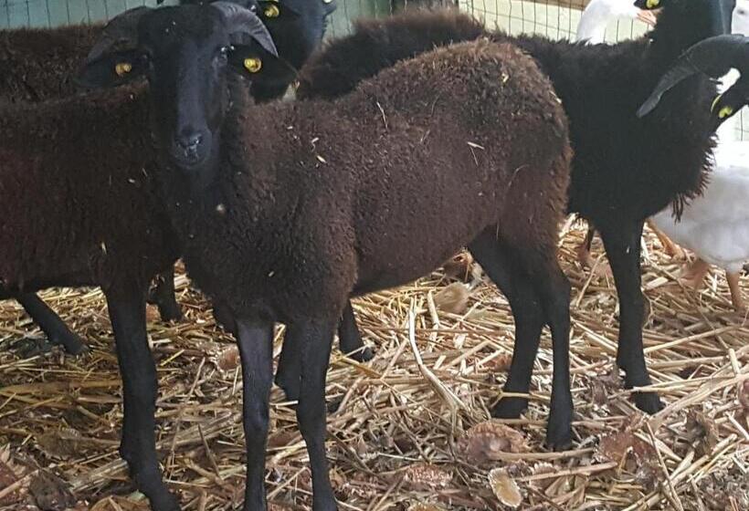 Пансион Tuscan Hilltop