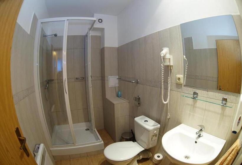 بنسيون U Goraľa