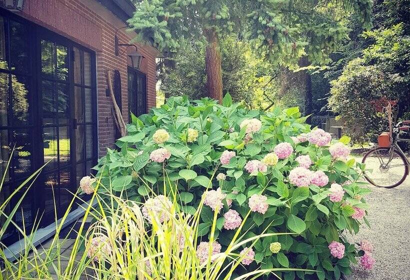 펜션 Vakantiewoning Guesthouse Momo