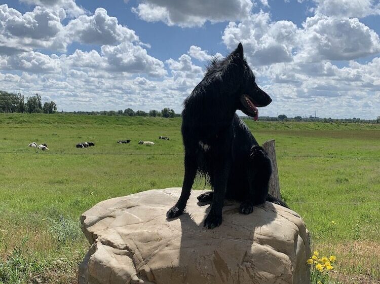 펜션 Vakantiewoning Guesthouse Momo