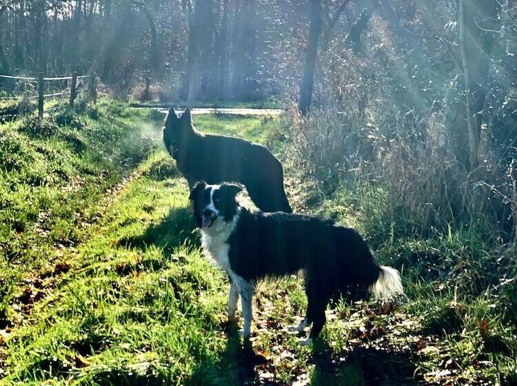 펜션 Vakantiewoning Guesthouse Momo