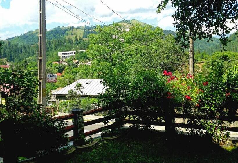 بنسيون Vila Giulia Voineasa