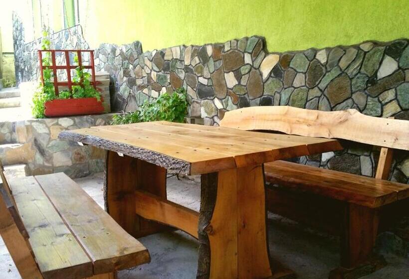 بنسيون Vila Giulia Voineasa