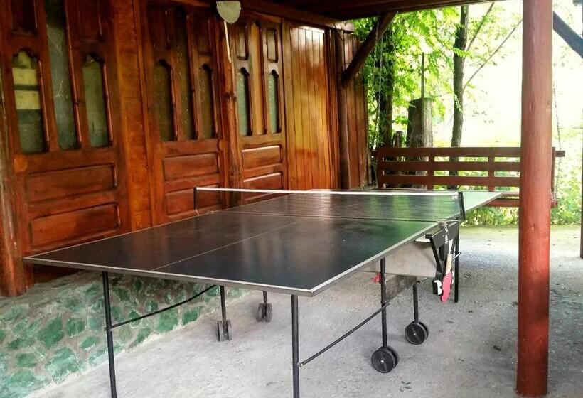 بنسيون Vila Giulia Voineasa