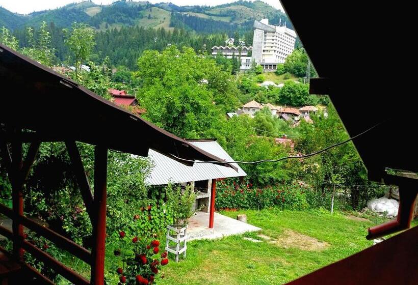 بنسيون Vila Giulia Voineasa