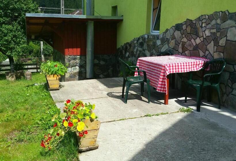 بنسيون Vila Giulia Voineasa