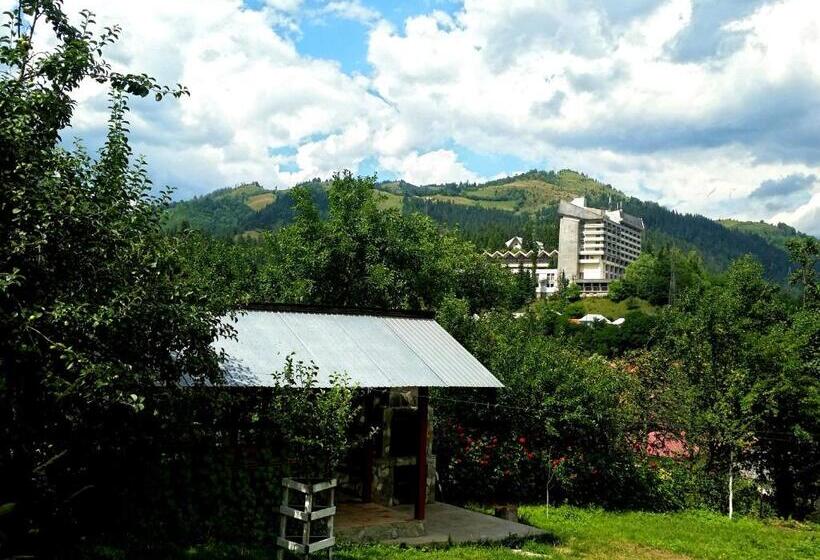 بنسيون Vila Giulia Voineasa