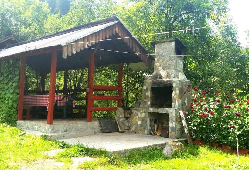 بنسيون Vila Giulia Voineasa