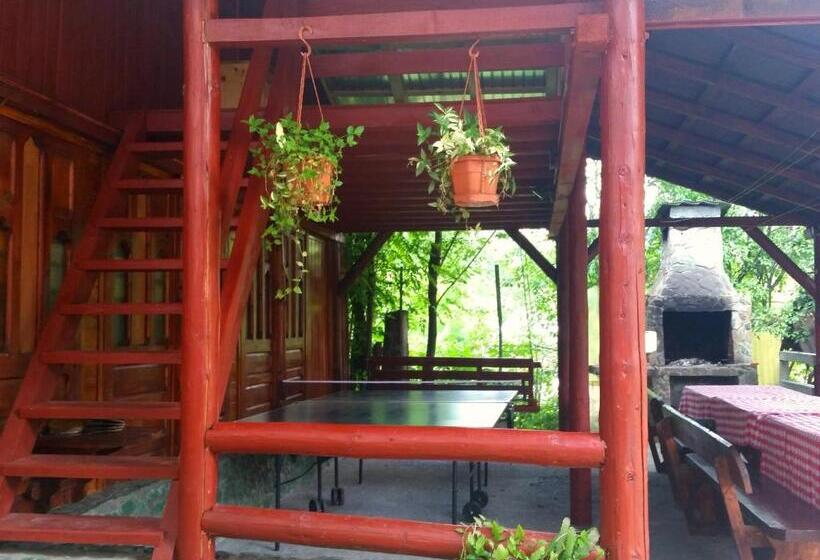 بنسيون Vila Giulia Voineasa