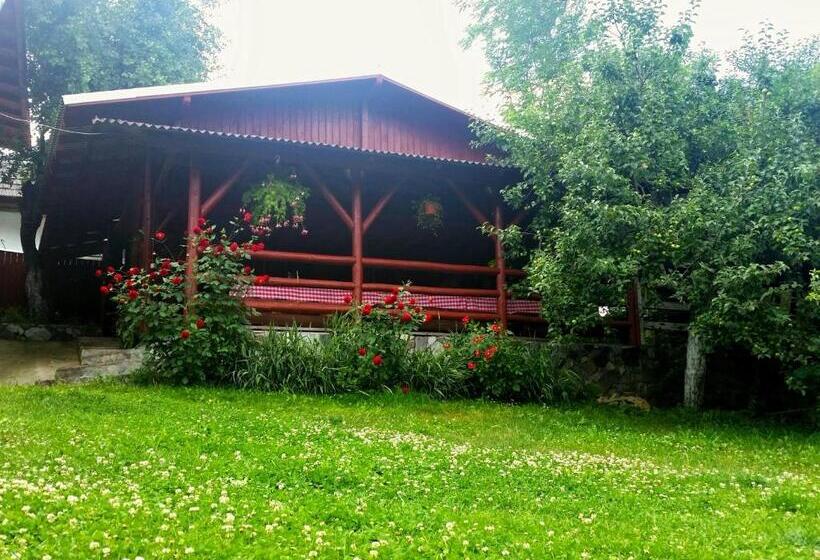 بنسيون Vila Giulia Voineasa