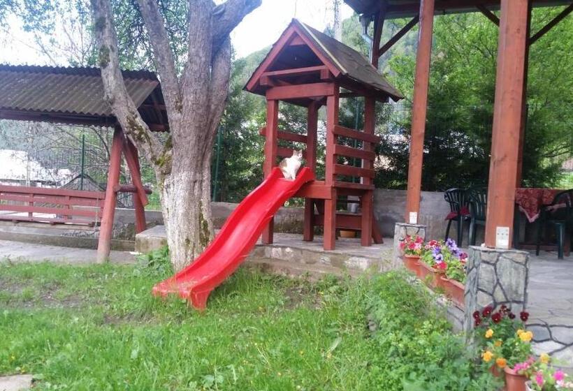 بنسيون Vila Giulia Voineasa