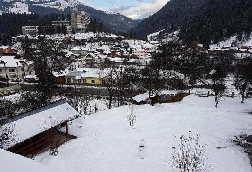 بنسيون Vila Giulia Voineasa