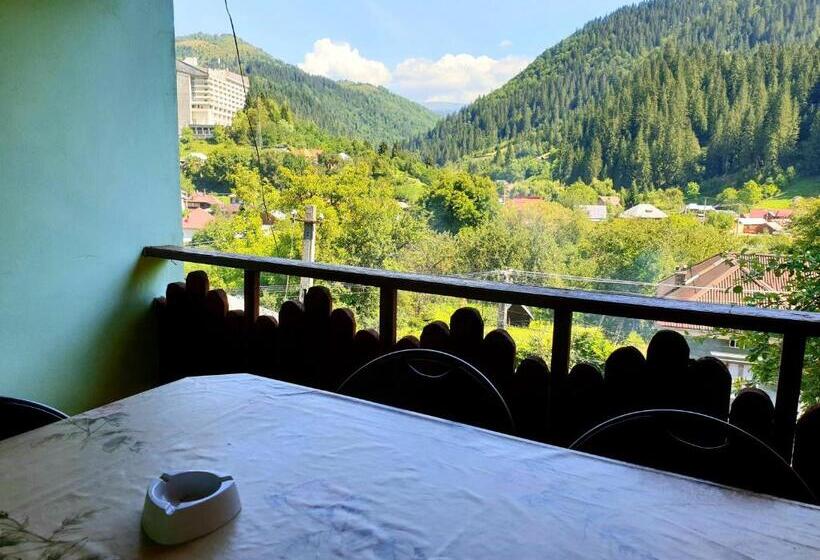 بنسيون Vila Giulia Voineasa