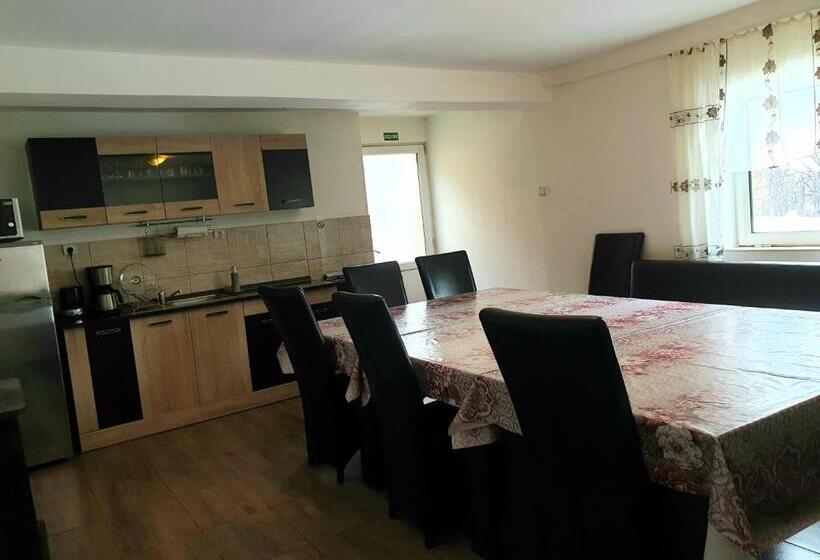 بنسيون Vila Giulia Voineasa