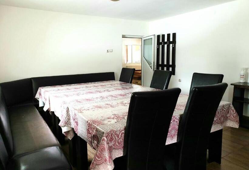 بنسيون Vila Giulia Voineasa