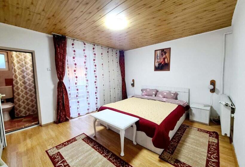 بنسيون Vila Giulia Voineasa