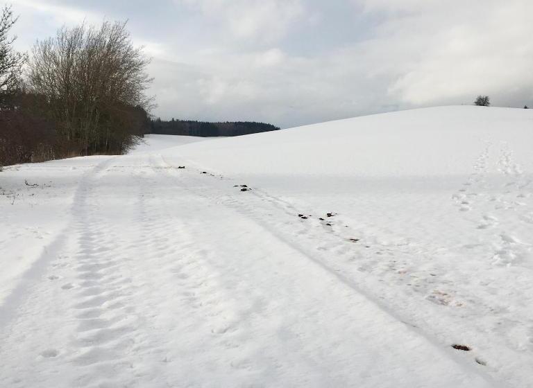 Пансион Vilaeva Adršpach Broumovsko