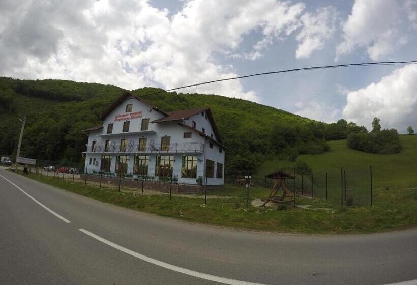 Pensiune Marginimea Sibiului