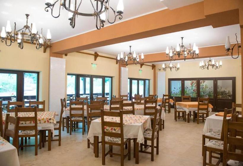 Pensiunea Floare De Colt