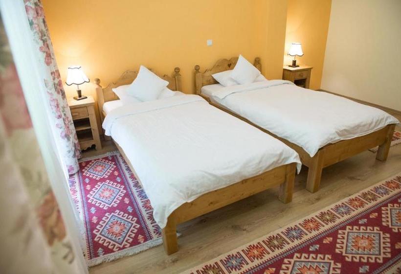 Pensiunea Floare De Colt