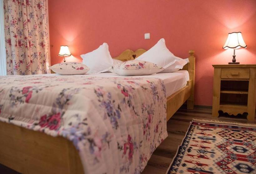 Pensiunea Floare De Colt