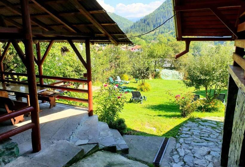 بنسيون Vila Giulia Voineasa