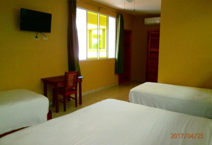 Pizzeria Colisseo B & B