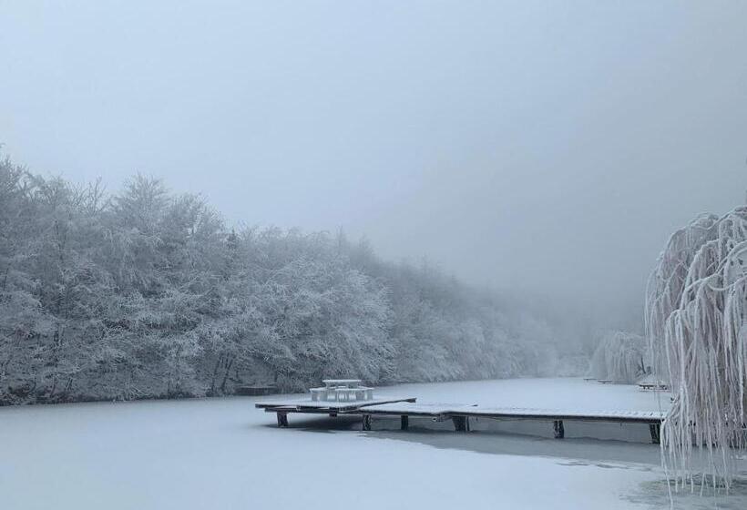 渡假胜地  Complex Turistic Comoara Bucovinei