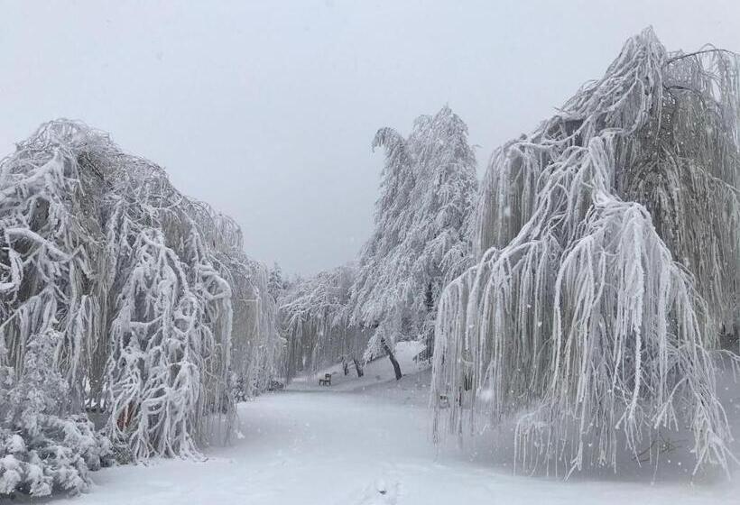 渡假胜地  Complex Turistic Comoara Bucovinei